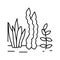 seaweed seafood line icon vector illustration