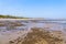 Seaweed stewn across Llanbedrog beach in Wales at low tide