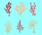 Seaweed. Underwater colorful flora, tropical marine plants, sea or ocean botanical elements for decor, algae and kelp