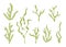 Seaweed vector silhouette set