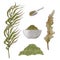 Seaweed in watercolor style. Beauty set for spa treatments. Seaweed, sea salt, bowl, spoon. The concept of beauty and