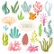 Seaweeds. Aquarium plants, underwater planting. Vector seaweed silhouette isolated set