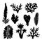 Seaweeds. Black silhouettes. Underwater hand drawn sea plants