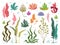 Seaweeds. Sea underwater plants, ocean coral reef and aquatic kelp, hand drawn marine flora set. Vector seaweed cartoon