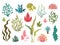 Seaweeds. Underwater ocean plants, sea coral elements, hand drawn ocean flourish algae, cartoon decorative drawing