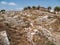 Sebastia, ancient Israel, ruins and excavations