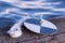 Secchi disk with rope on a wooden dock