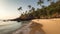 Secluded Beach with Gentle Waves and Palm Trees