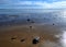 Secluded beach shoreline with receding tide and large stones, South Eastern Victoria