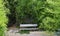 Secluded bench surrounded by lush bamboo