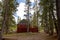 Secluded cabin in forest