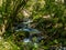 A secluded creek flowing wildly in the Alps