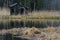 Secluded Fishing Shack in a Swamp