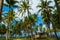 A secluded old house among coconut tress in Terengganu, Malaysia