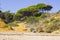 A secluded part of the Oura Praia Beach in Albuferia in Portugal