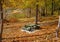 Secluded picnic table amongst fall leaves and forest