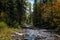 Secluded river flowing over rocks and past trees in a forest in Minnesota