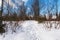 Secluded snowed path in the forest winter sunny day