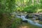 Secluded Stream in the Blue Ridge Mountains