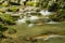 Secluded Trout Mountain Stream