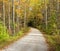 Secluded walking trail going into the woods. Beautiful trees with autumn colors line the path