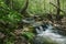 Secluded Waterfall on a Wild Mountain Stream