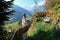 Secluded wooden bench on the mountainside overlooking the alpine village of Stulles. South Tyrol, Italy