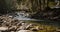 Secluded Yosemite Valley river in the winter time.