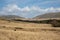 Secnic Welsh mountain landscape