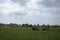 Second stone circle at Stanton Drew