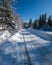 Secondary countryside alpine road to remote mountain hamlet through snowy fir forest, snow drifts and wood fence on wayside