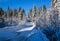 Secondary countryside alpine road to remote mountain hamlet through snowy fir forest, snow drifts and wood fence on wayside