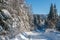 Secondary countryside alpine road to remote mountain hamlet through snowy fir forest, snow drifts and wood fence on wayside