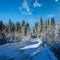 Secondary countryside alpine road to remote mountain hamlet through snowy fir forest, snow drifts and wood fence on wayside