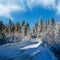 Secondary countryside alpine road to remote mountain hamlet through snowy fir forest, snow drifts and wood fence on wayside