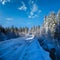 Secondary countryside alpine road to remote mountain hamlet through snowy fir forest, snow drifts and wood fence on wayside