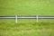 Secondary road guardrail in a mountain pasture