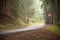 A secondary road inside a forest during a misty day