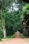 Secondary road path with green trees