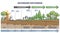 Secondary succession as ecological recovery after wildfire outline diagram