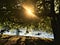 Secret corner in Valentine Park, Turin city, Italy. Po River, rowing, tree and ray of light