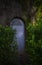 Secret door in the woods