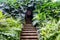 Secret doors with stone stairs surrounded by dense fern and monstera, hidden entrance to the bunker in Fort Canning Park, Singapor