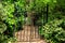 The Secret Garden: Rusty wrought iron gate