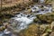 Secret Wild Trout Stream in the Blue Ridge Mountains