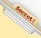 Secret Word Manila Envelope Classified Files Confidential Inform