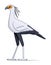 Secretary bird on a white background