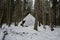 Secrets of Winter: Snow-Clad Wooden Pyramid Concealed in Pokainu Mezs\\\' Snowy Woods