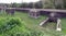 Section of 18th-century aqueduct Aguas Livres in Amadora, part of Lisbon water supply system, Portugal