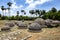 A section of the 20 visible stupas at Kathurugoda Ancient Vihara.